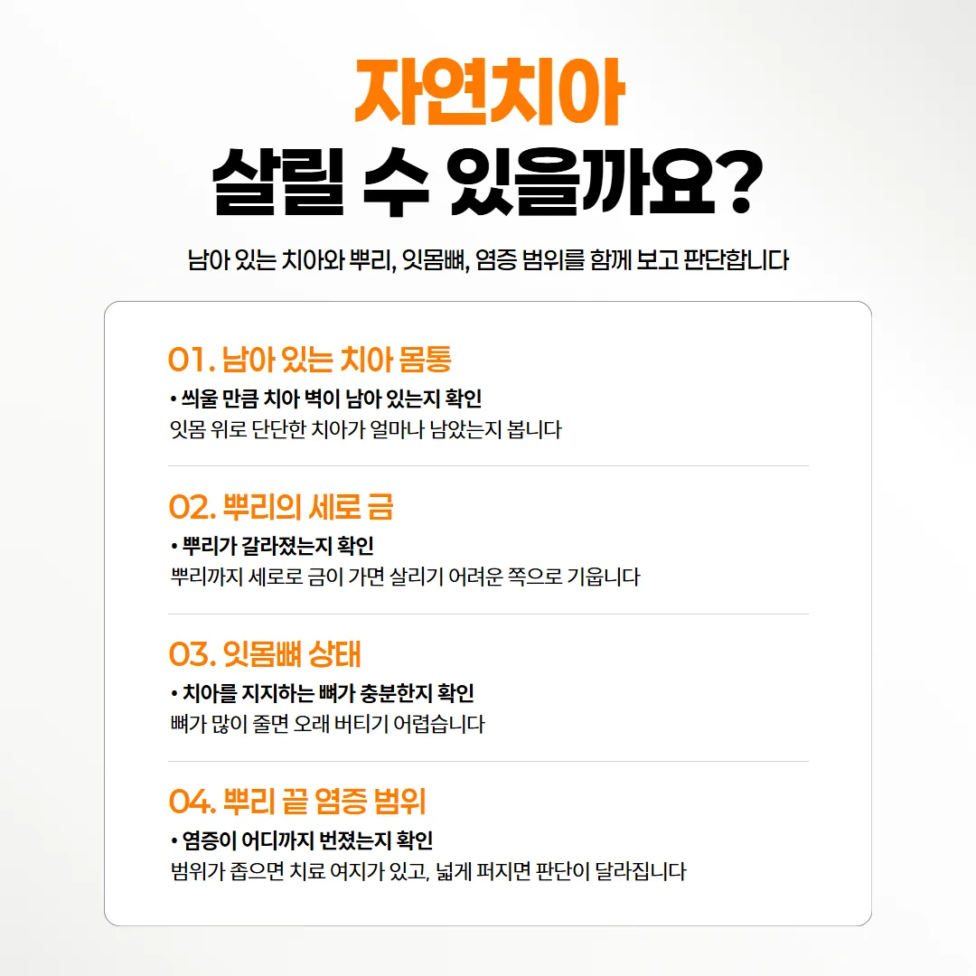 자연치아를 살릴 수 있는지 가르는 네 가지 확인 부위 도해