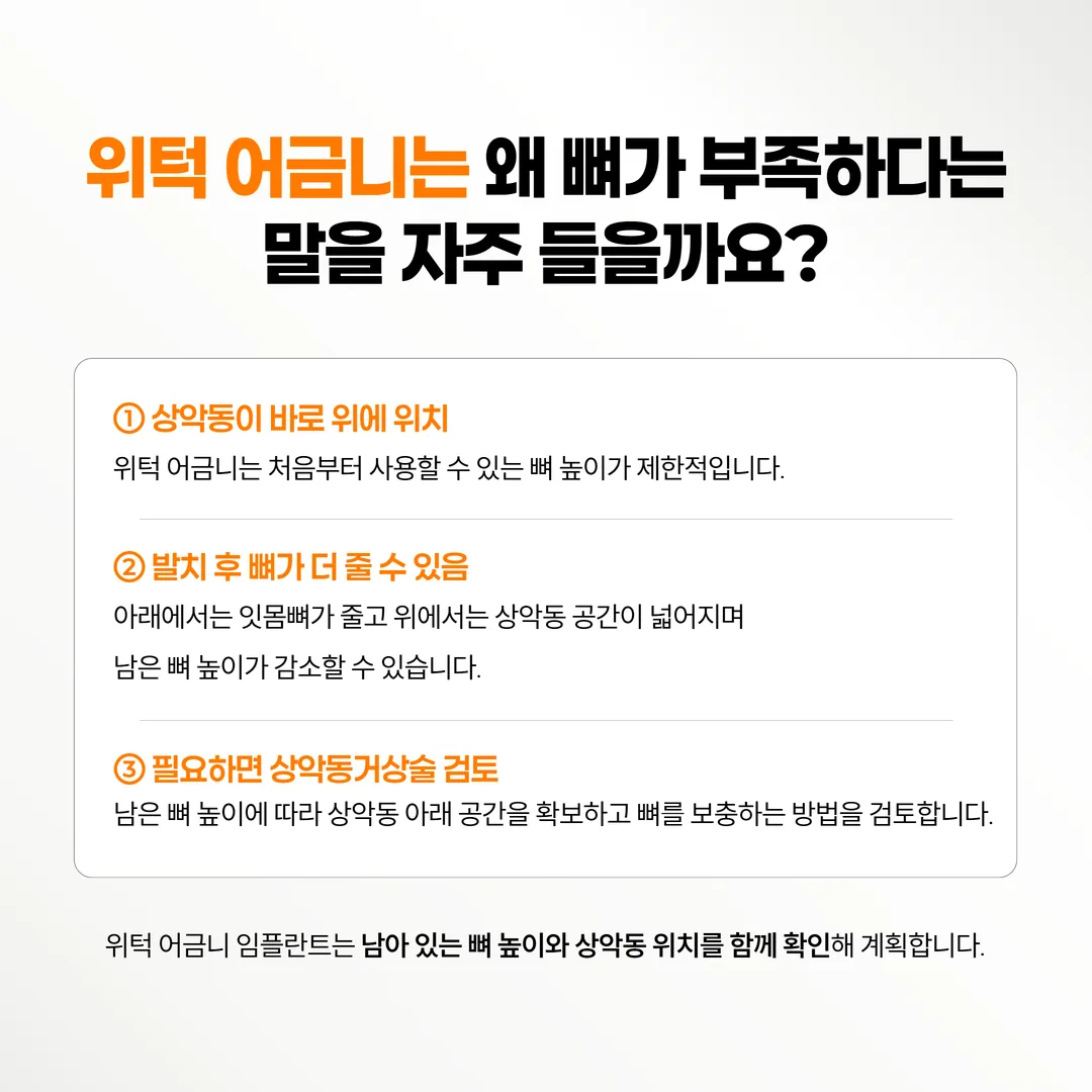 위턱 어금니와 상악동의 위치 관계를 보여 주는 단면 도해