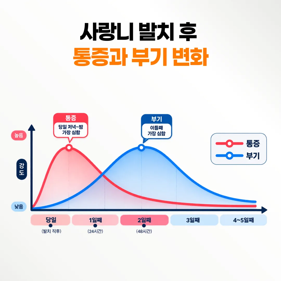 발치 당일부터 이틀째까지 통증과 부기 변화를 나타낸 곡선 그래프