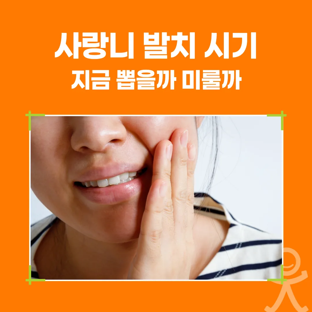 사랑니 발치 시기, 지금 뽑을까 미룰까 (하남 신장동)