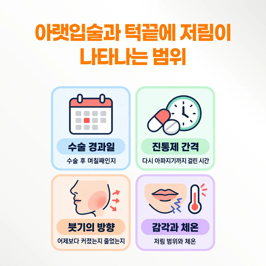 임플란트 수술 후 치과에 연락하기 전 기록할 네 가지 항목을 정리한 그림