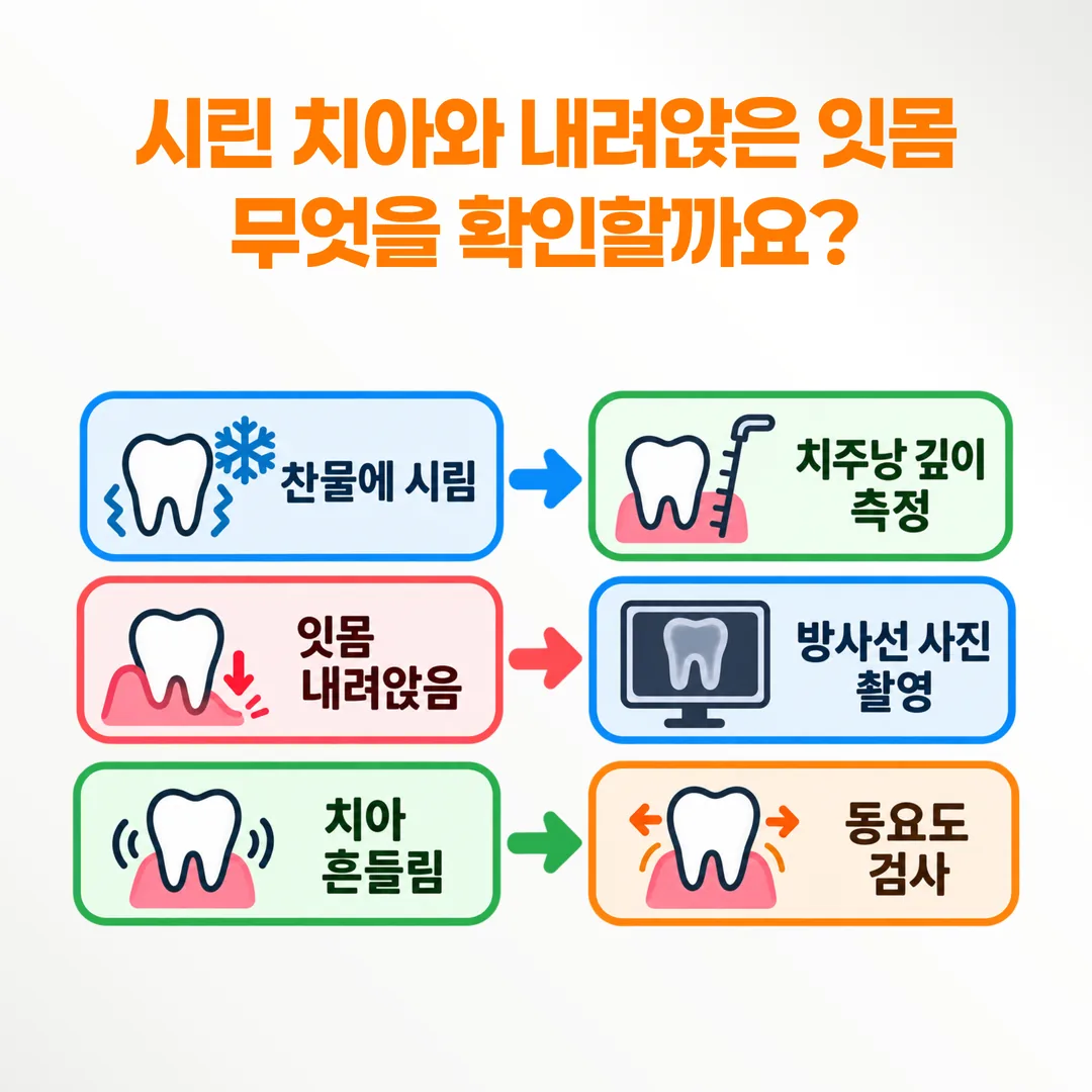 시림, 잇몸 퇴축, 치아 흔들림 세 신호와 치주낭 깊이·방사선 사진·동요도 검사를 연결한 판단 흐름도