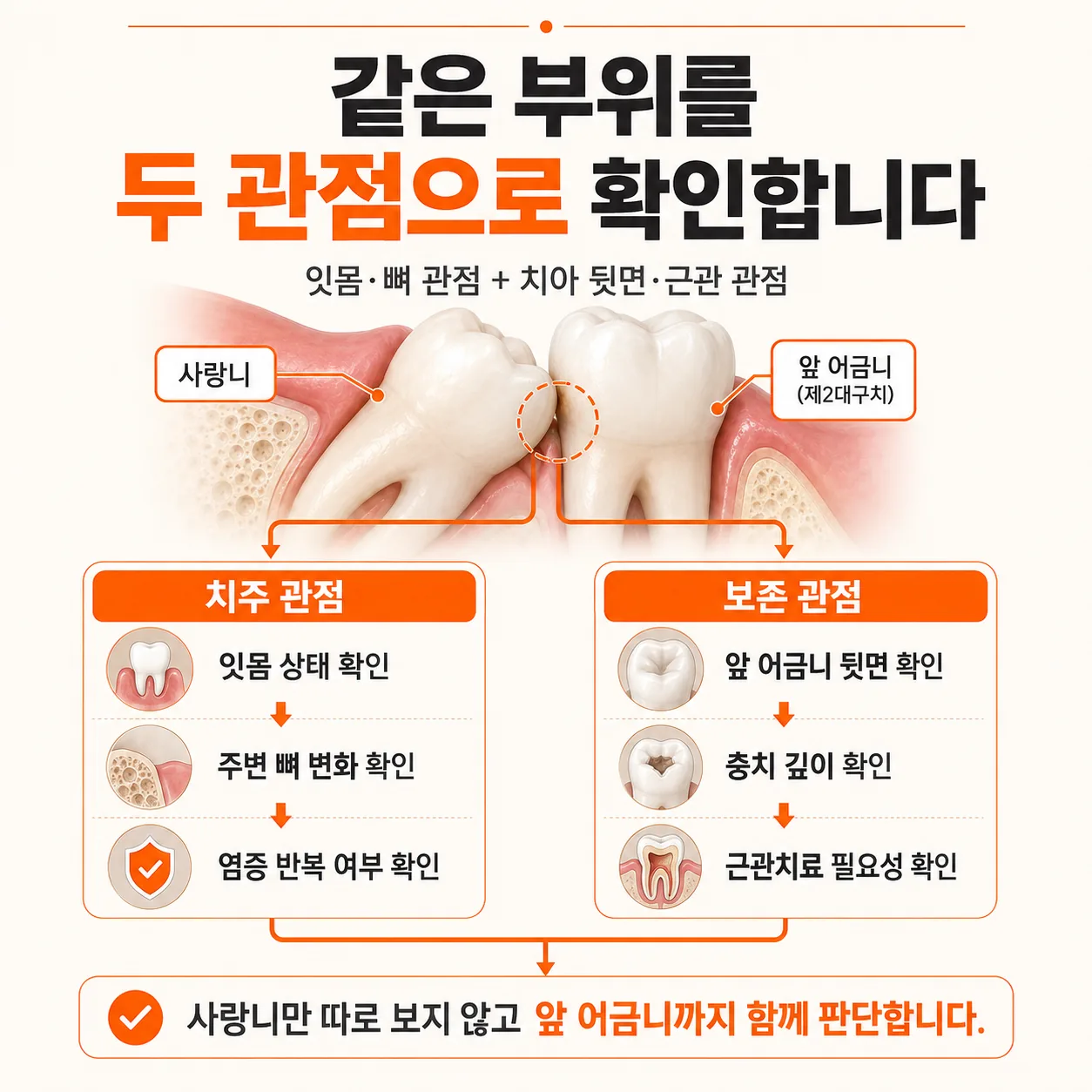 사랑니 인접 부위를 치주 관점과 보존 관점에서 함께 확인하는 진찰 흐름 도해