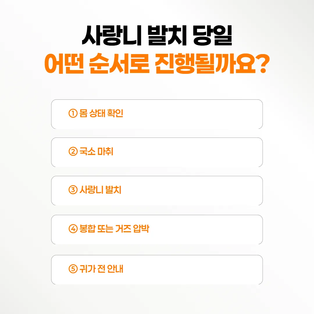 사랑니 발치 당일 몸 상태 확인부터 귀가 전 안내까지 다섯 단계 흐름도