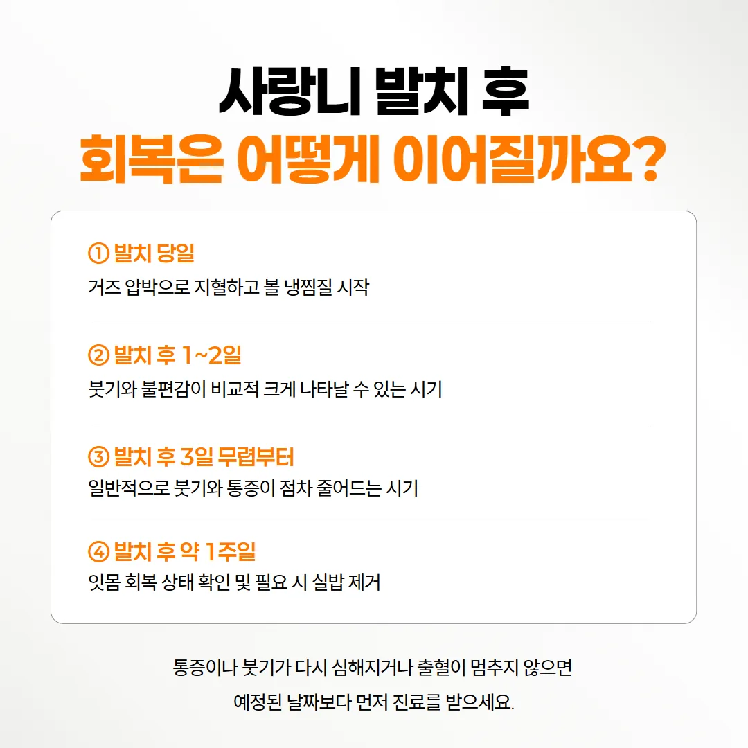 사랑니 발치 당일부터 일주일 무렵 실밥 뽑는 날까지 붓기가 줄어드는 회복 흐름 타임라인